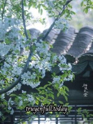 Phượng Thê Ngô - Đại Khẩu Đào Tô